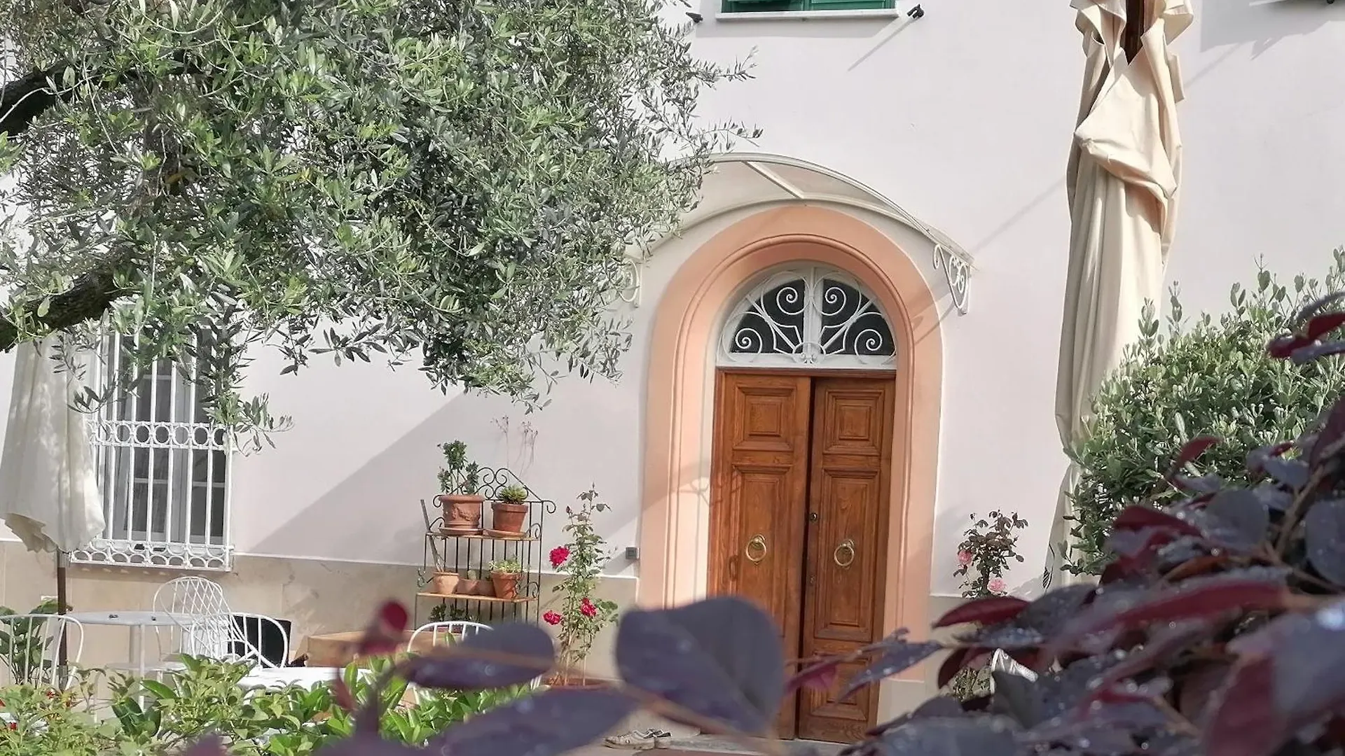 B&B Villa Lula Lucca Bed & Breakfast